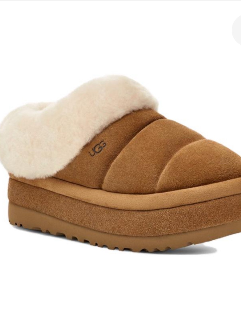 UGG Tazzlita Mule in Chestnut with Cream Shearling